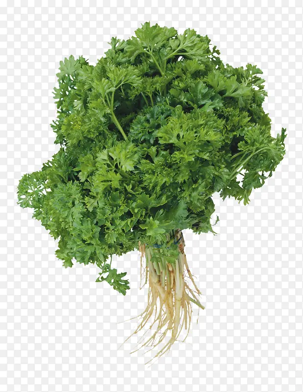 �������-������