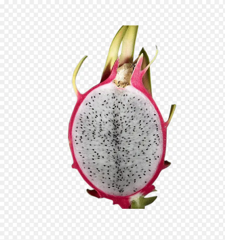 ������ʳ��-������