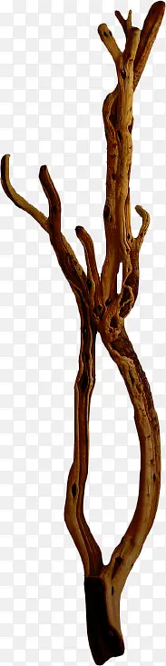 ������֦֦ͷ-������