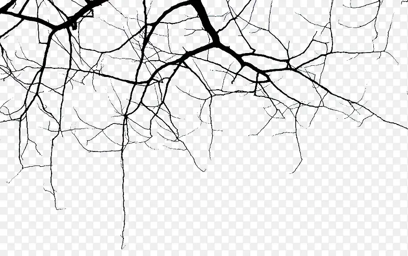 �̸����ڵĿ���֦-������