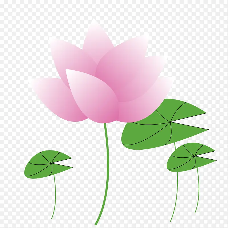 ��ͨ�ɻ�-������