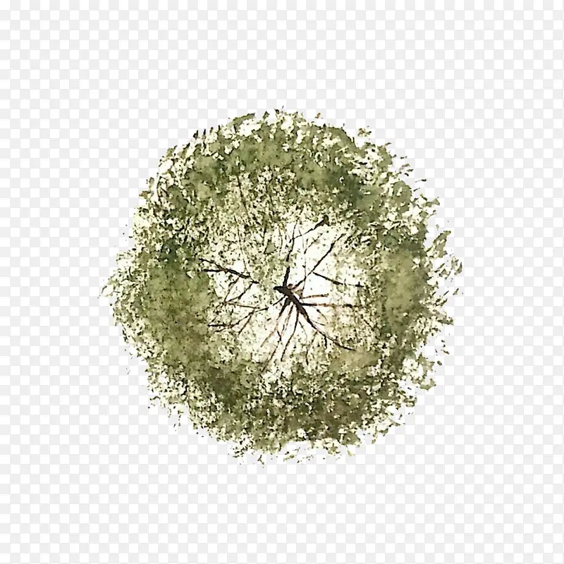 2017��ɫ�����ֻ�����-������