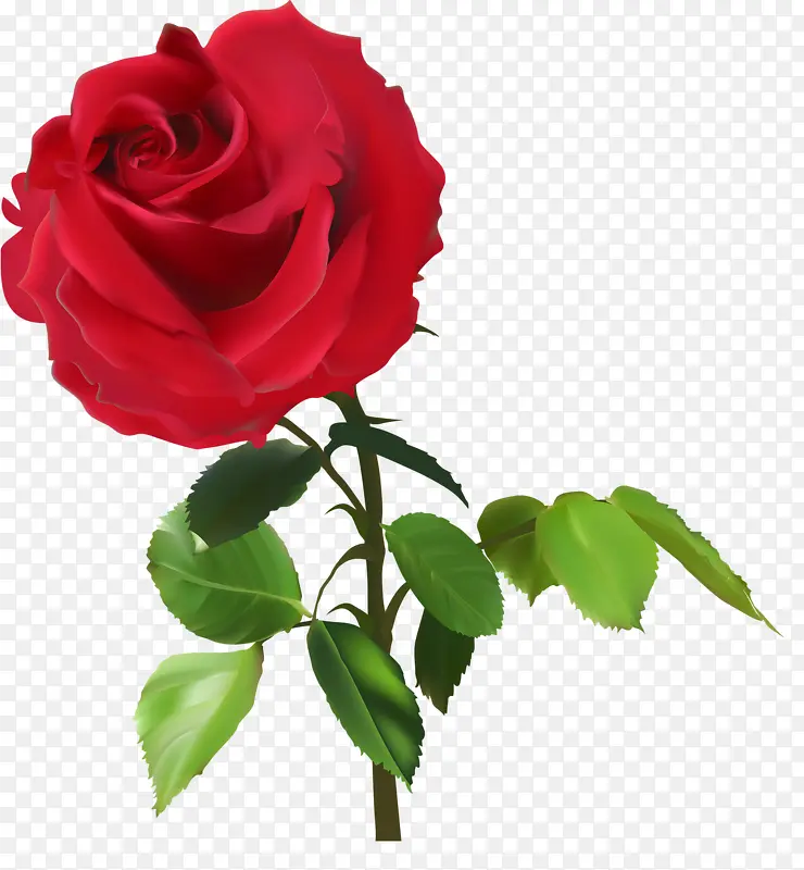 ���̵�õ��-������