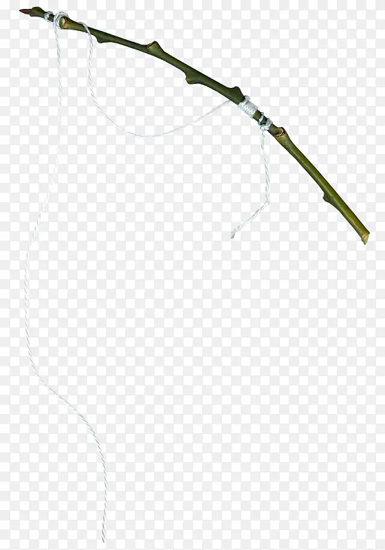 ��֦�ϵ�����-������