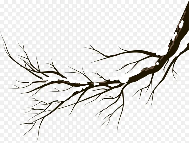 ��ѩ��֦-������