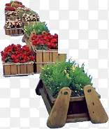 ��ɫС��ľͷ����-������