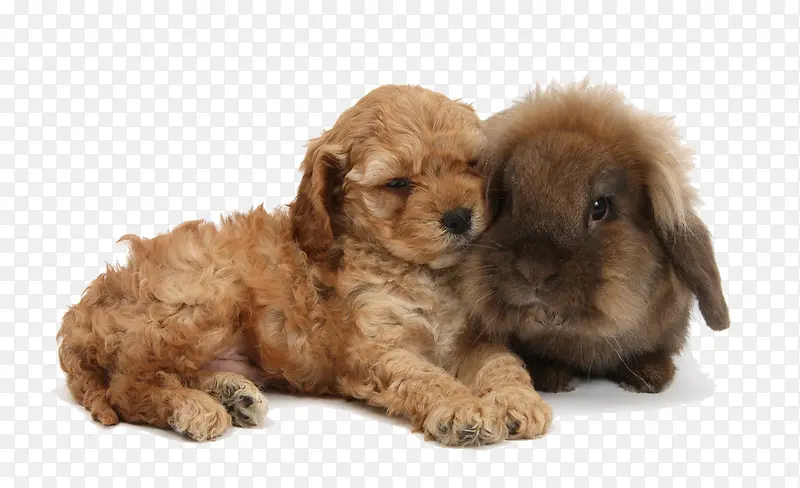 ̩�Ϲ�������-������