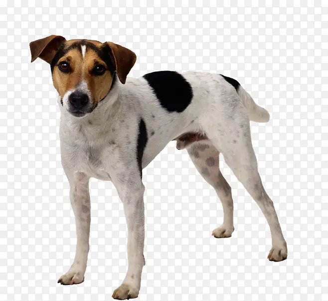 ��ڵ㹷-������