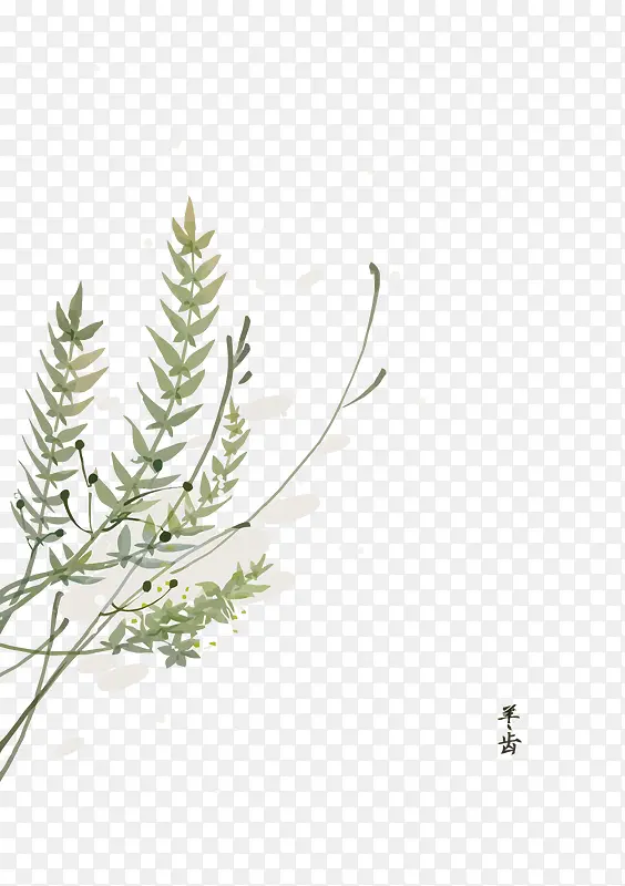 ʸ����ݲ�-������