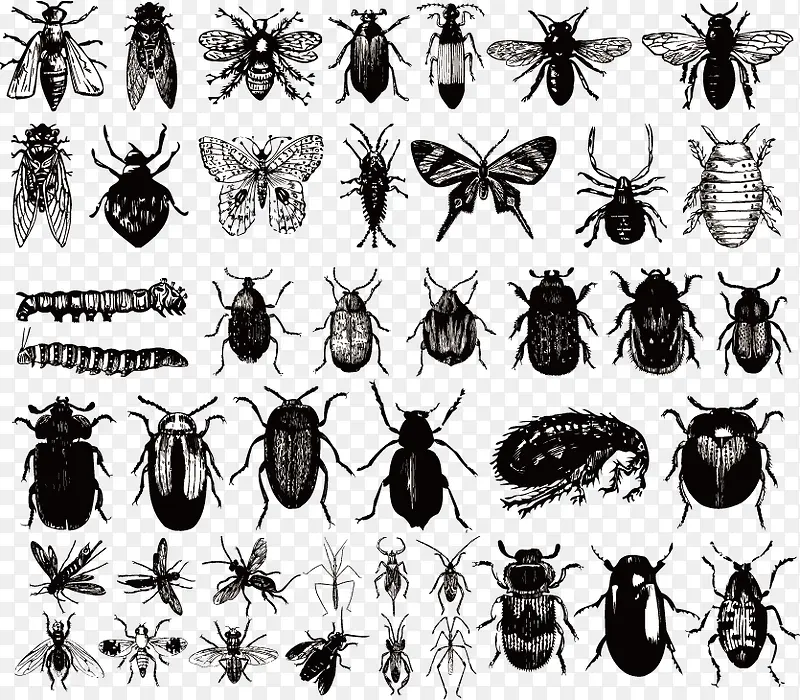 ����ڰױ걾ʸ���ز�-������