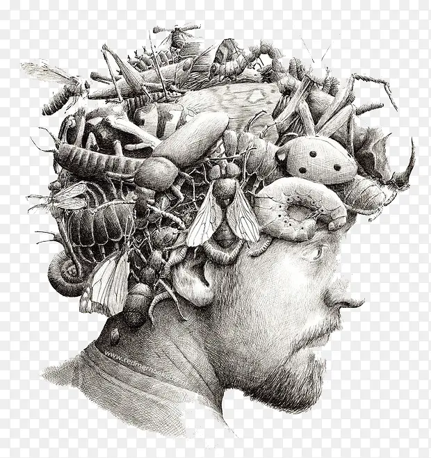 �ڰ��������-������