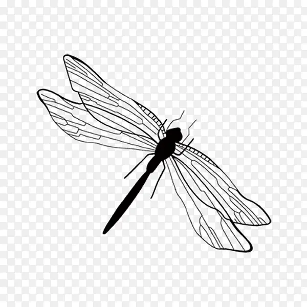 ˮī����-������