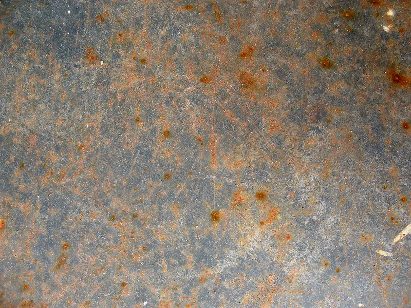 �����ְ����ⱳ��-������