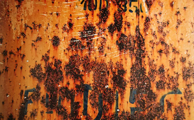 ����ĸְ屳��-������