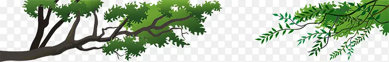 ��֦��Ҷ����ز�-������