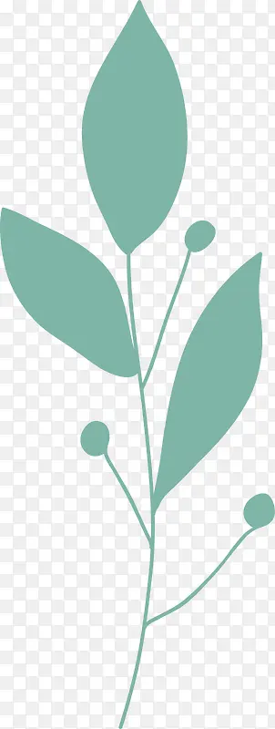 ��ɫ����ֲ��-������