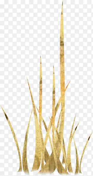 �Ӳ�װ���ز�-������