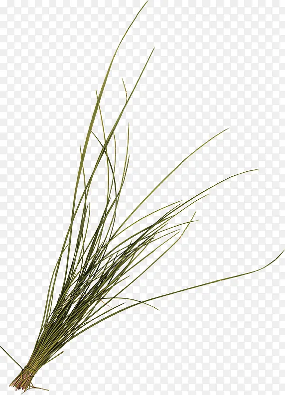 �Ӳ�װ���ز�-������