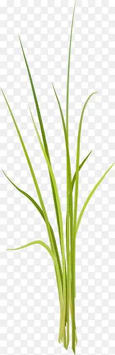 С��װ���ز�-������