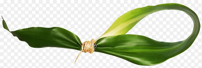 �ݱ�װ���ز�-������