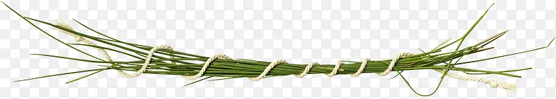 �ݱ�װ���ز�-������