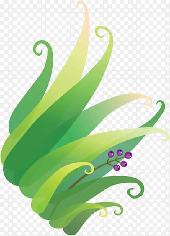 ��ͨ�̲ݴ����Ӳ�װ��-������