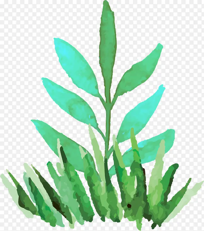 ��ɫˮ�ʲݵ�С��-������