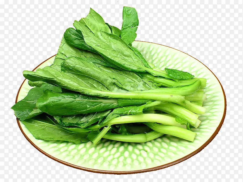 �㶫����-������