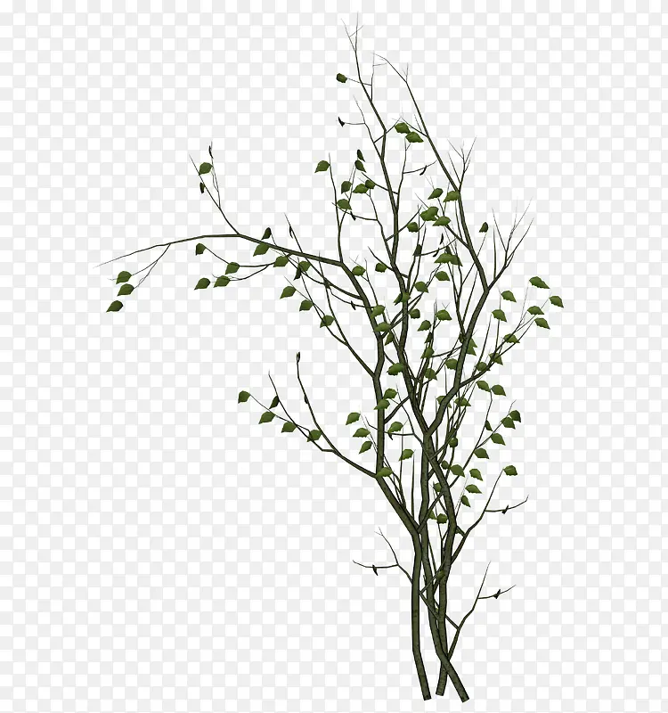 ϡ��Ҷ����֦С��-������