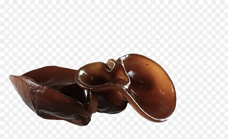 �ݷ�ľ��-������