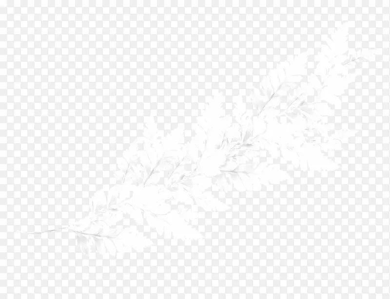 ��ѩ��֦-������