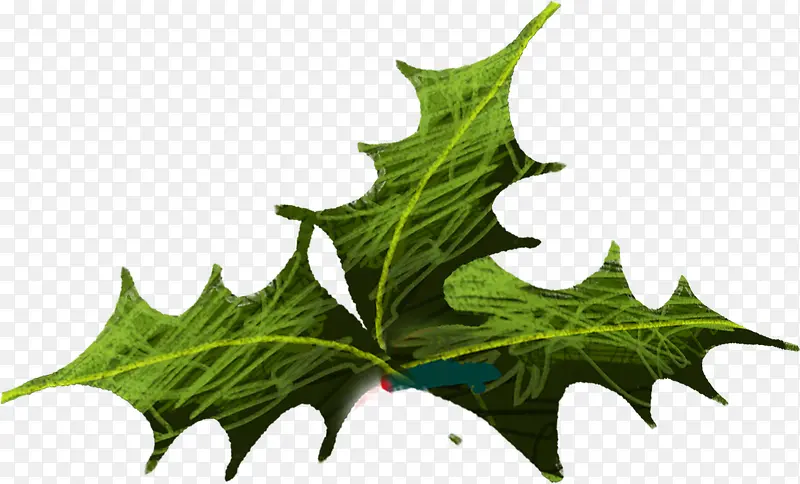 ����ʥ����Ҷ�Ӳ廭-������