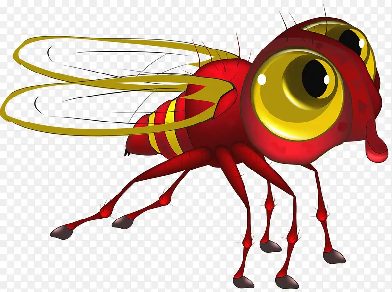 ���۾���Ӭ-������