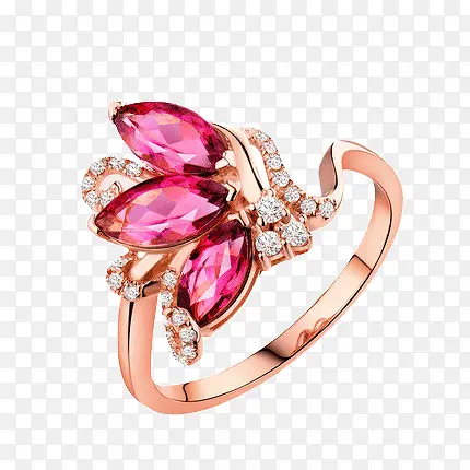 ��ָʵ��ͼ-������