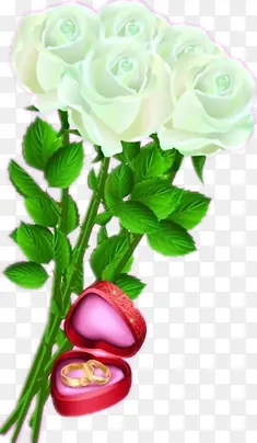 ��ɫ�ֻ�õ��-������