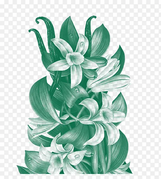 �ֻ�ֲ�ﻨ����Ҷ��ϸ�ֻ�-������