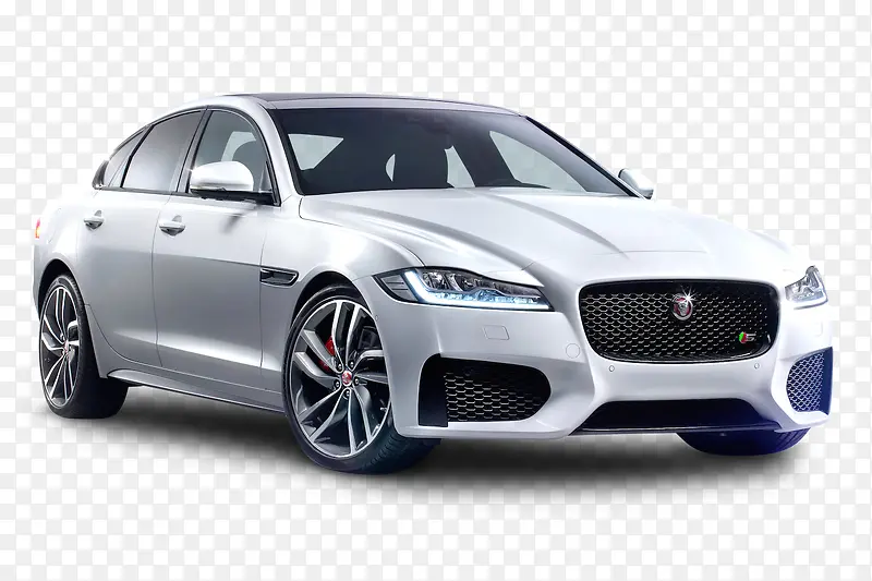 ��ɫ����-������