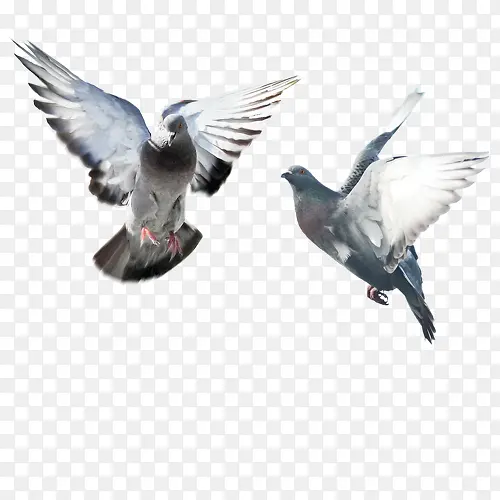 ���-������