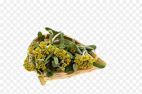 ��ɫ����-������