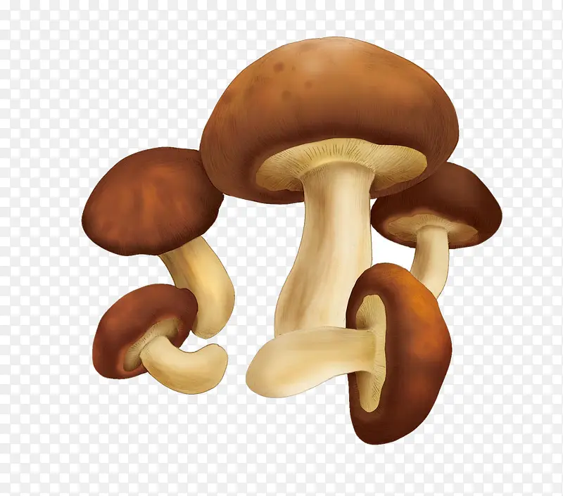 �㹽�廭-������