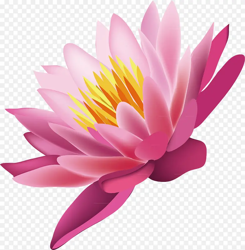 ����װ�����ʸ��-������