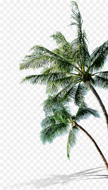 Ҭ����-������