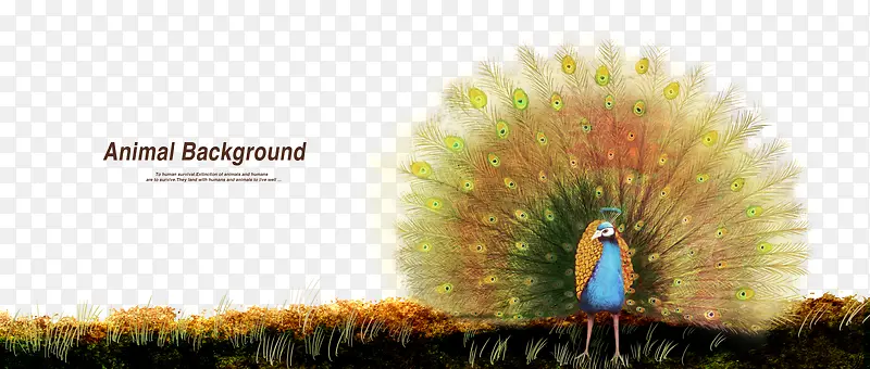 ��ȸ�������ʻ��ز�-������