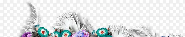 ��ȸװ���ز�-������