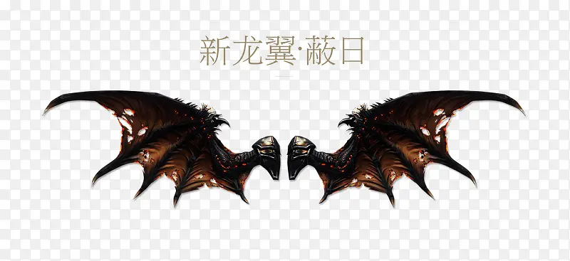 ���������ճ��չ��-������