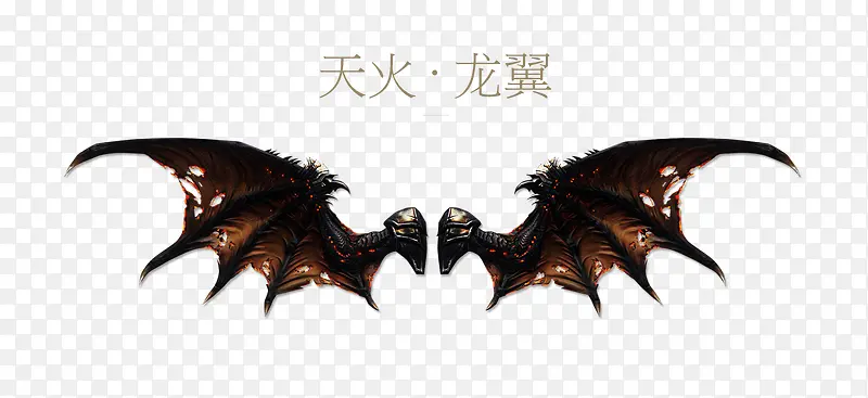 ��-���������Ϸ���-������