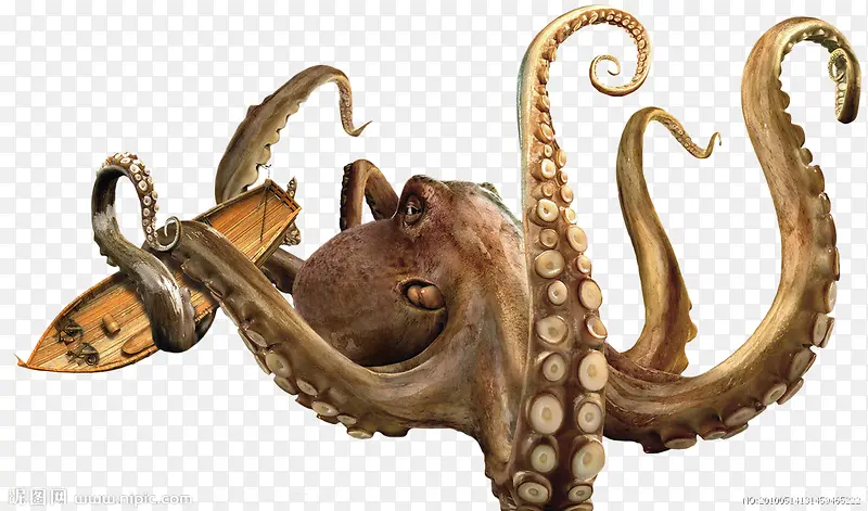 ������Ӱ���������-������