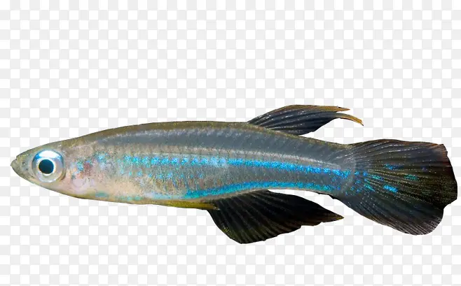 ������Ӱ�����һ����-������