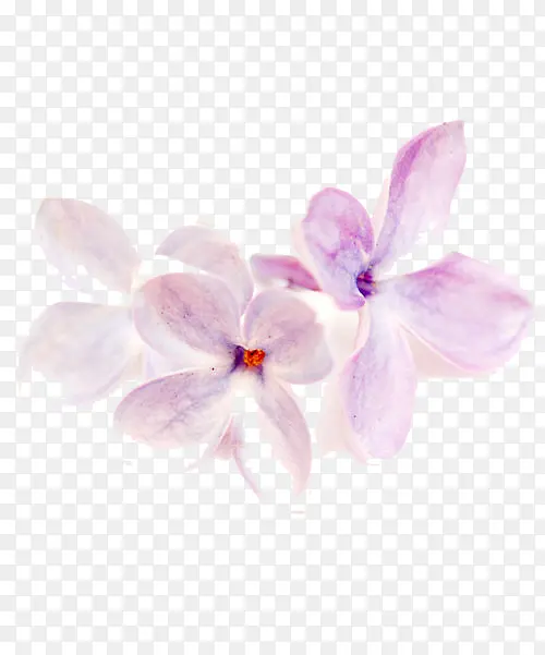 �Ϸ�����-������