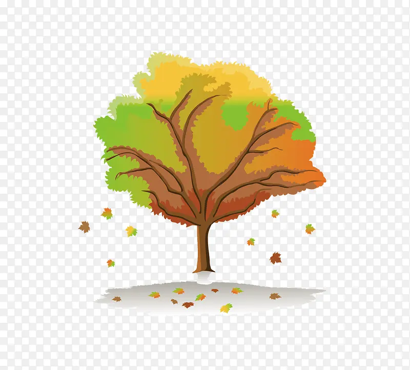 ��Ҷ����-������